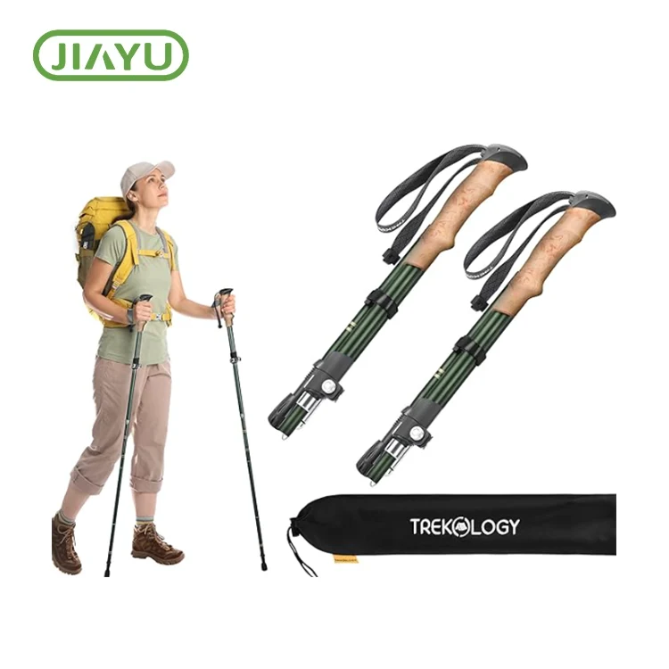 Legering opvouwbare wandelpaal